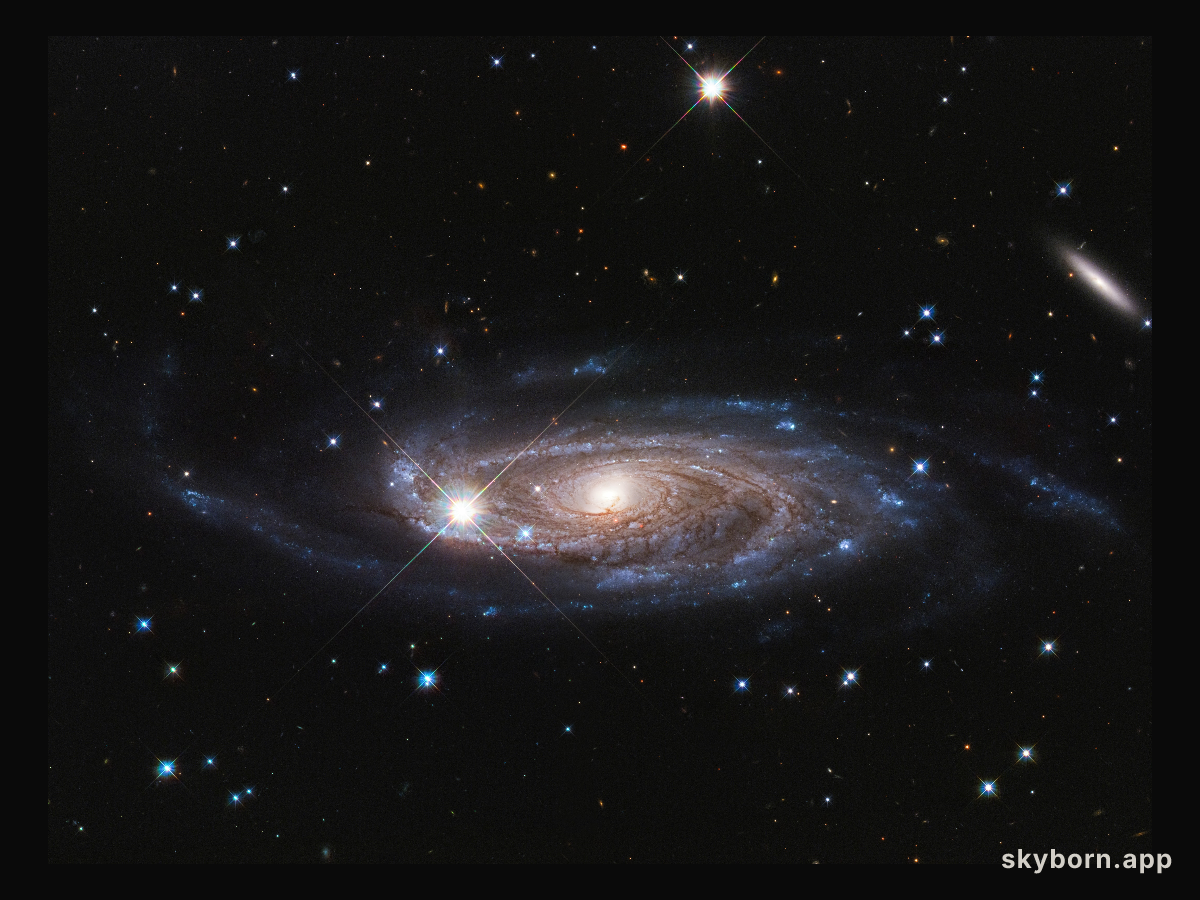 UGC 2885