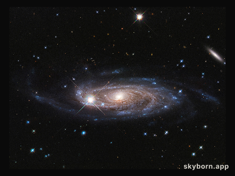 UGC 2885