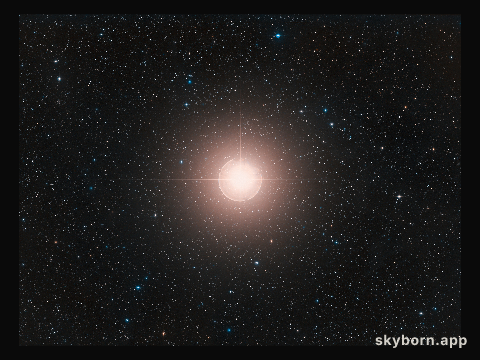 Wide-field view of Betelgeuse (ground-based image)