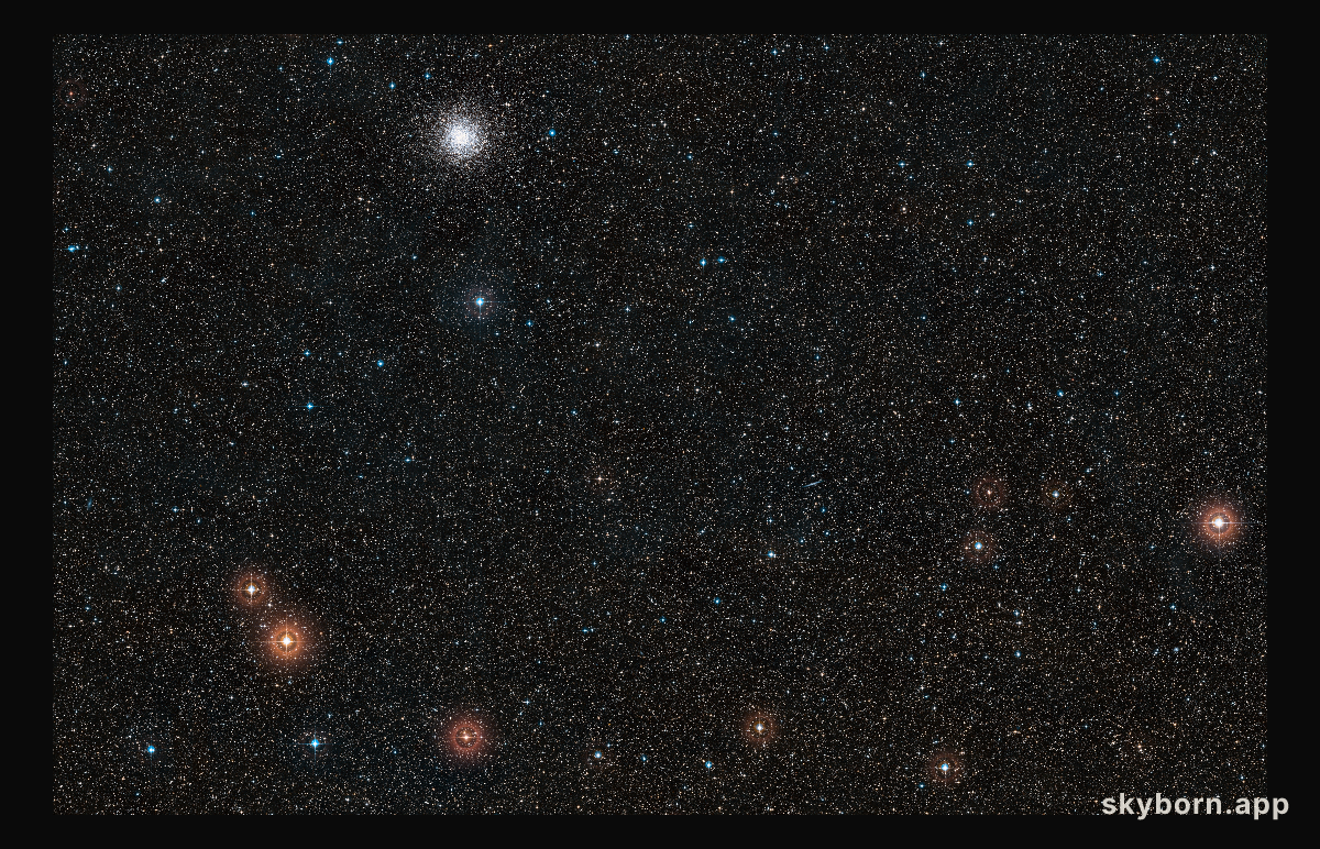 Wide-Field View of GJ 1132 b’s Host Star