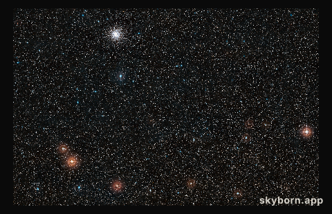 Wide-Field View of GJ 1132 b’s Host Star