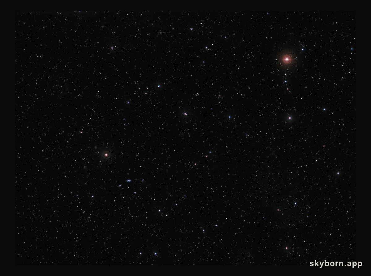 Wide-Field View of CW Leonis