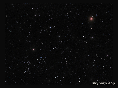 Wide-Field View of CW Leonis