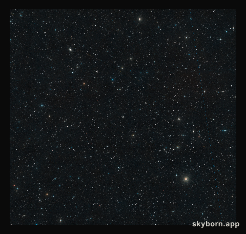 Wide-Field View of the Hickson Compact Group 40