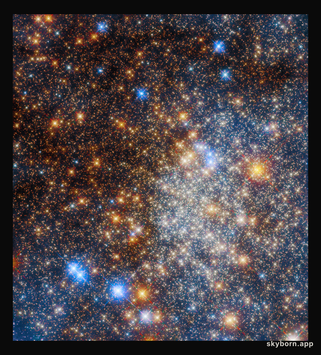 Glittering globular cluster Terzan 12