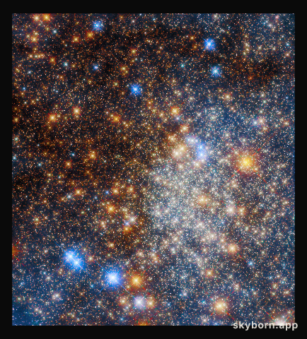 Glittering globular cluster Terzan 12