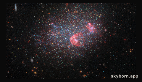 Dwarf irregular galaxy UGC 8091