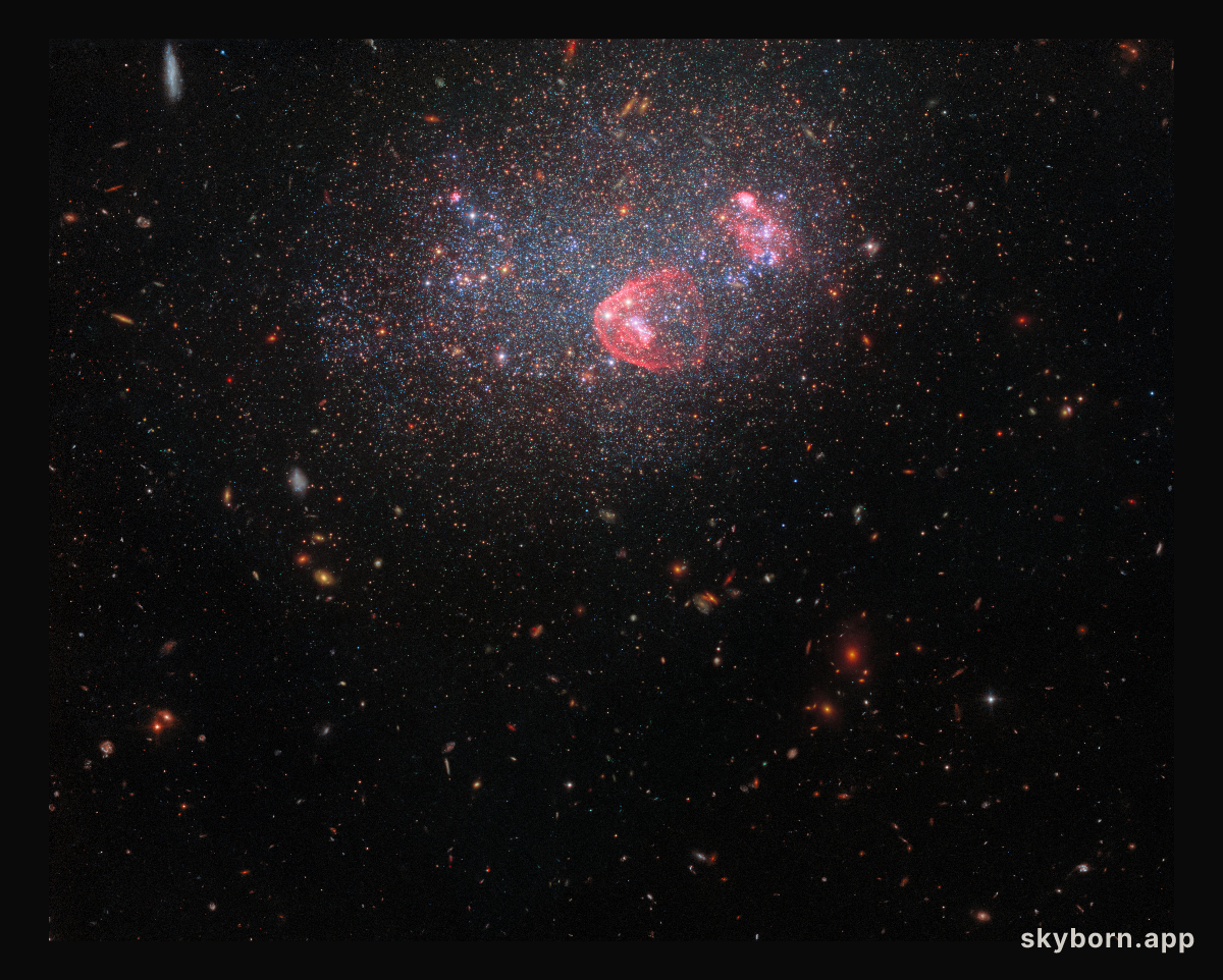 Dwarf irregular galaxy UGC 8091 (wide-field view)