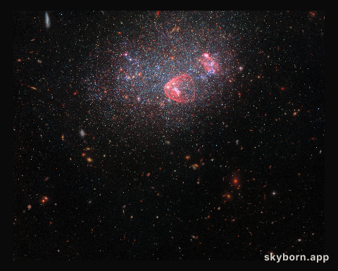 Dwarf irregular galaxy UGC 8091 (wide-field view)