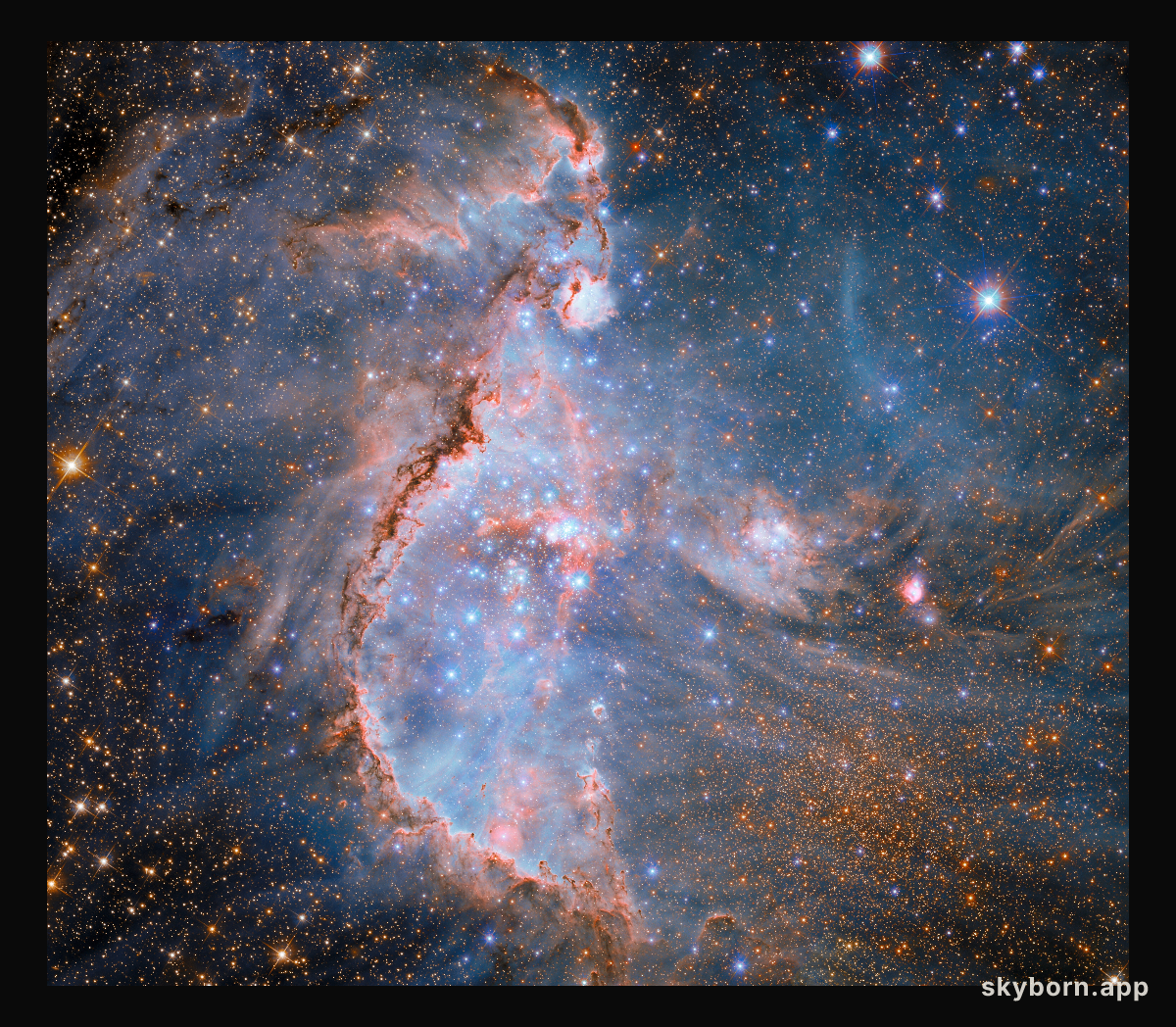 Stellar sculptors in NGC 346
