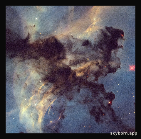 Rosette Nebula