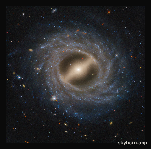 Barred Spiral Galaxy NGC 5335