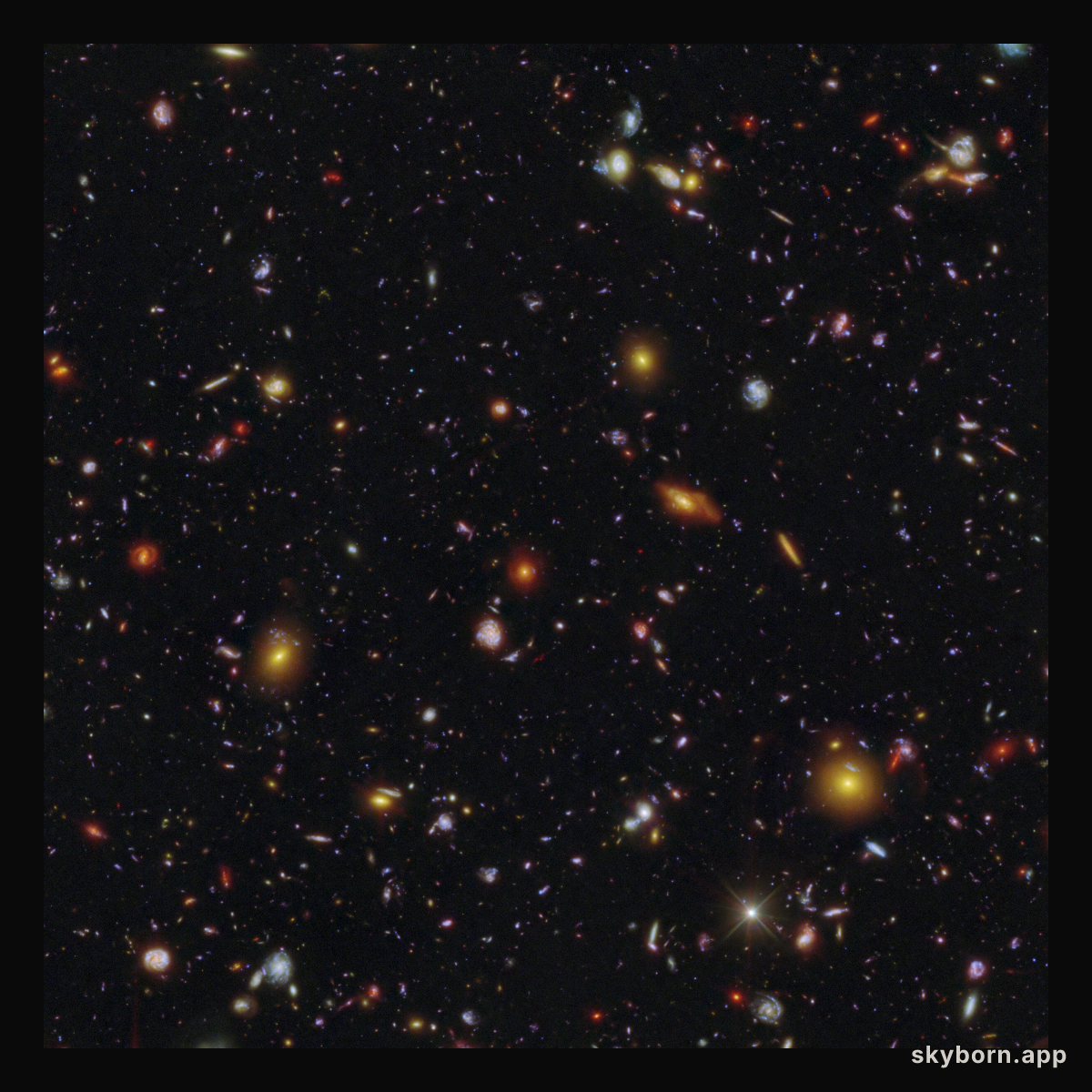 Galaxy field of MXDFz4.4 (Hubble and Webb clean image)
