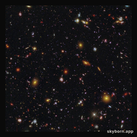 Galaxy field of MXDFz4.4 (Hubble and Webb clean image)