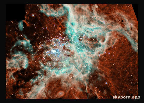 A Portrait of R136