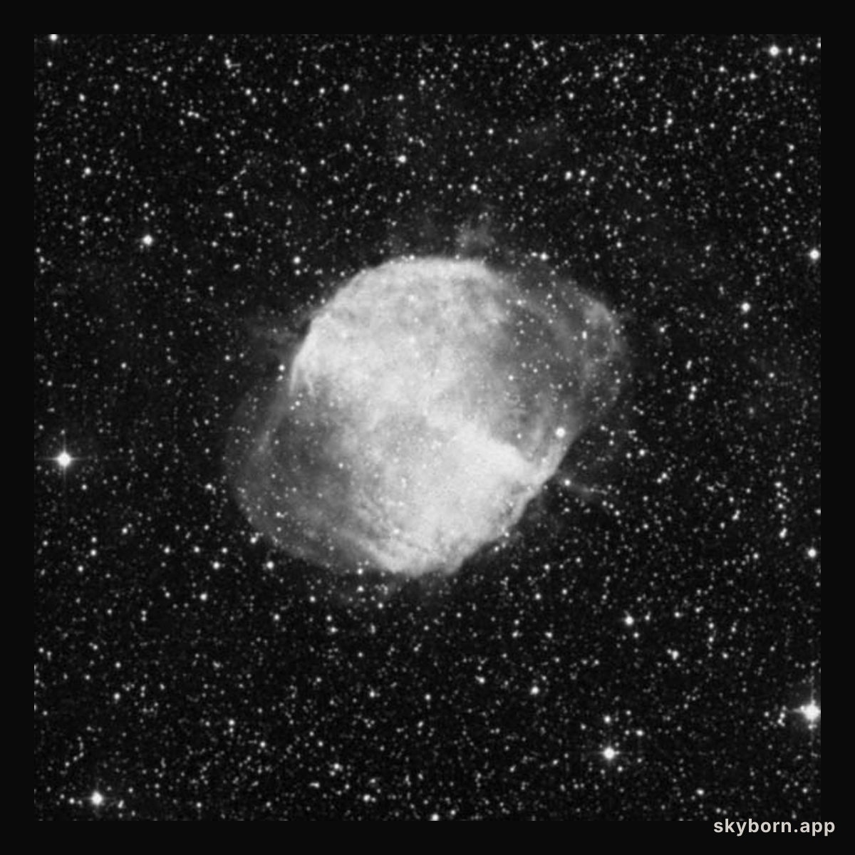 DSS image of Dumbbell Nebula (ground-based image)