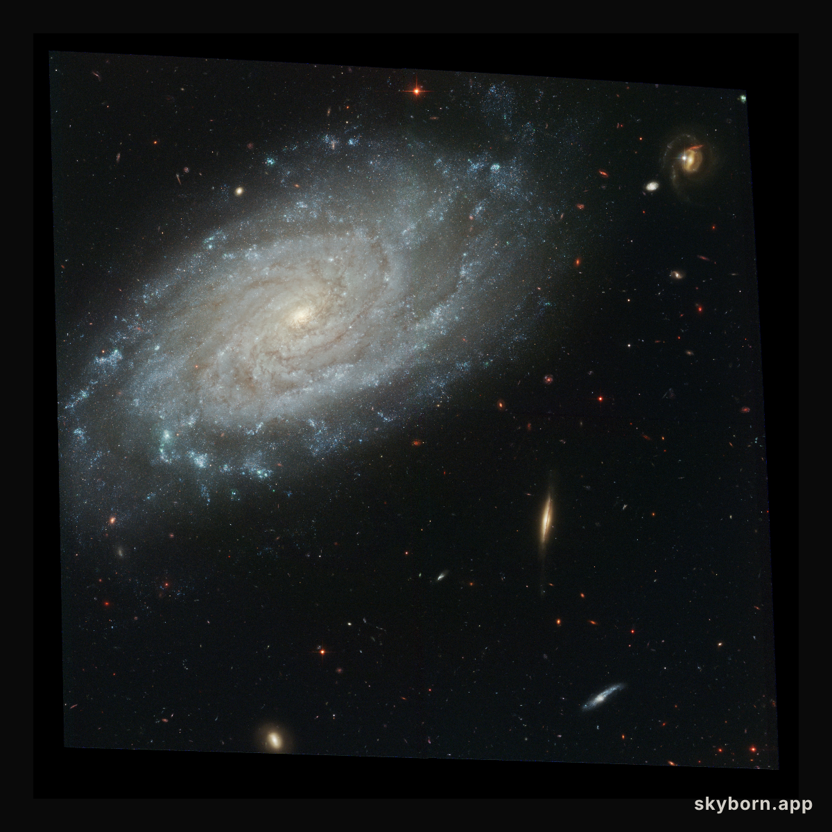 Full ACS Image of NGC 3370