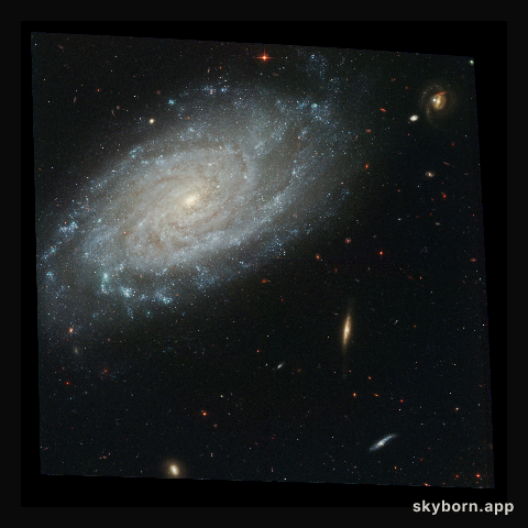 Full ACS Image of NGC 3370