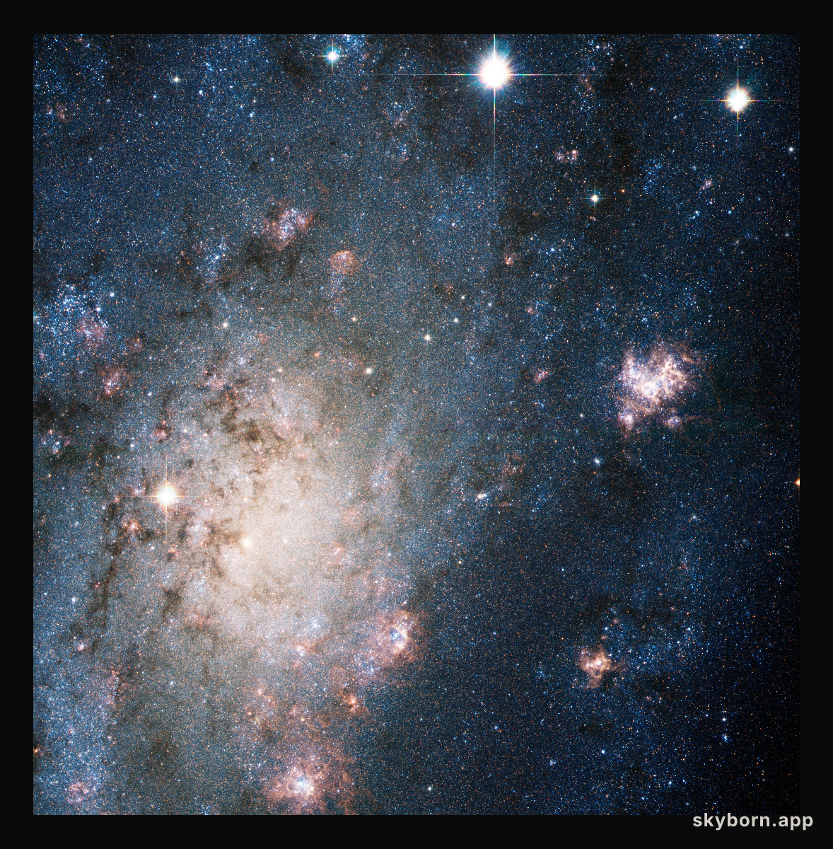 A bright supernova in the nearby galaxy NGC 2403