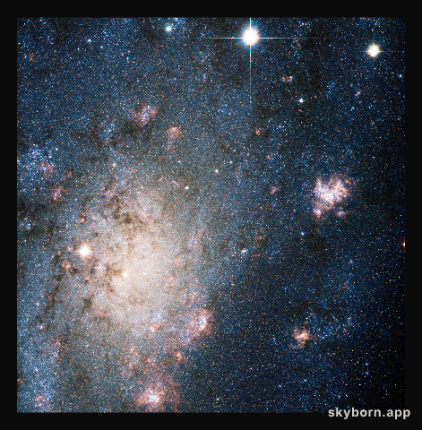 A bright supernova in the nearby galaxy NGC 2403