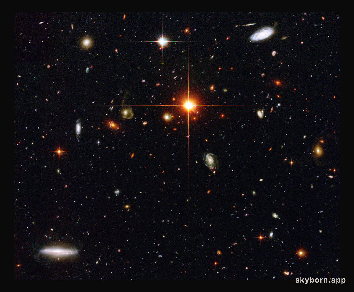 Hubble Spies a Zoo of Galaxies