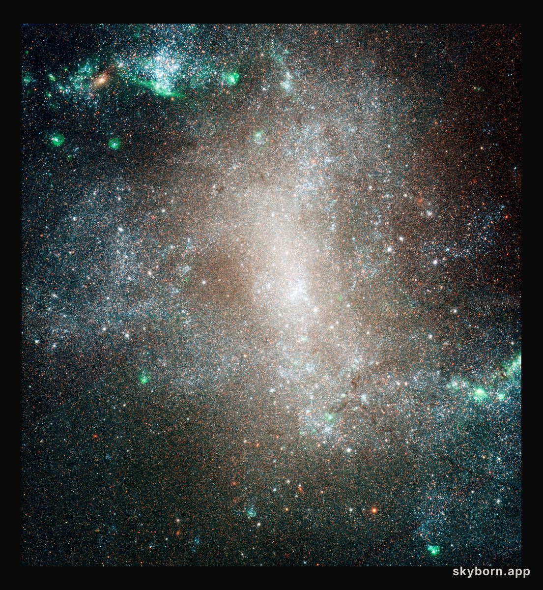 Barred Spiral Galaxy NGC 1313 - HST