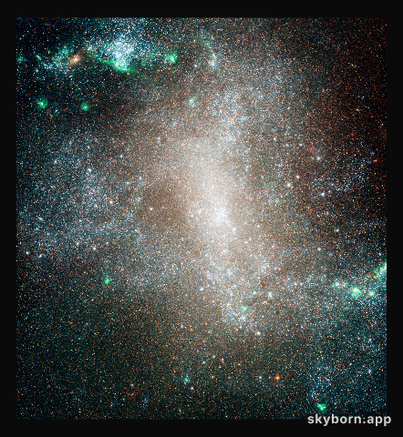 Barred Spiral Galaxy NGC 1313 - HST