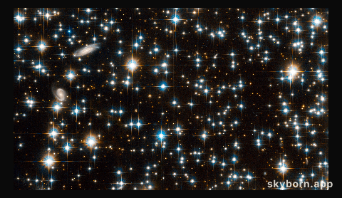 NGC 6791: full Hubble ACS field