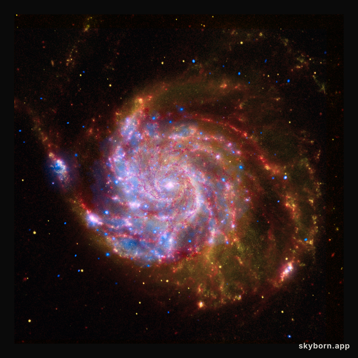 Spitzer-Hubble-Chandra Composite of M101