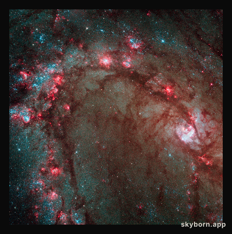 Hubble Wide Field Camera 3 image details star birth in galaxy M83