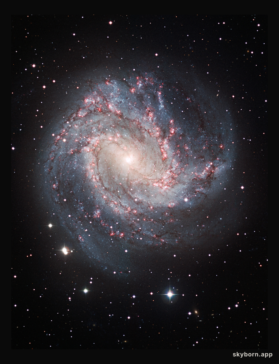Ground-based image of M83 Taken at ESO in La Silla, Chile
