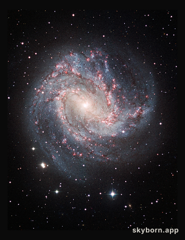 Ground-based image of M83 Taken at ESO in La Silla, Chile