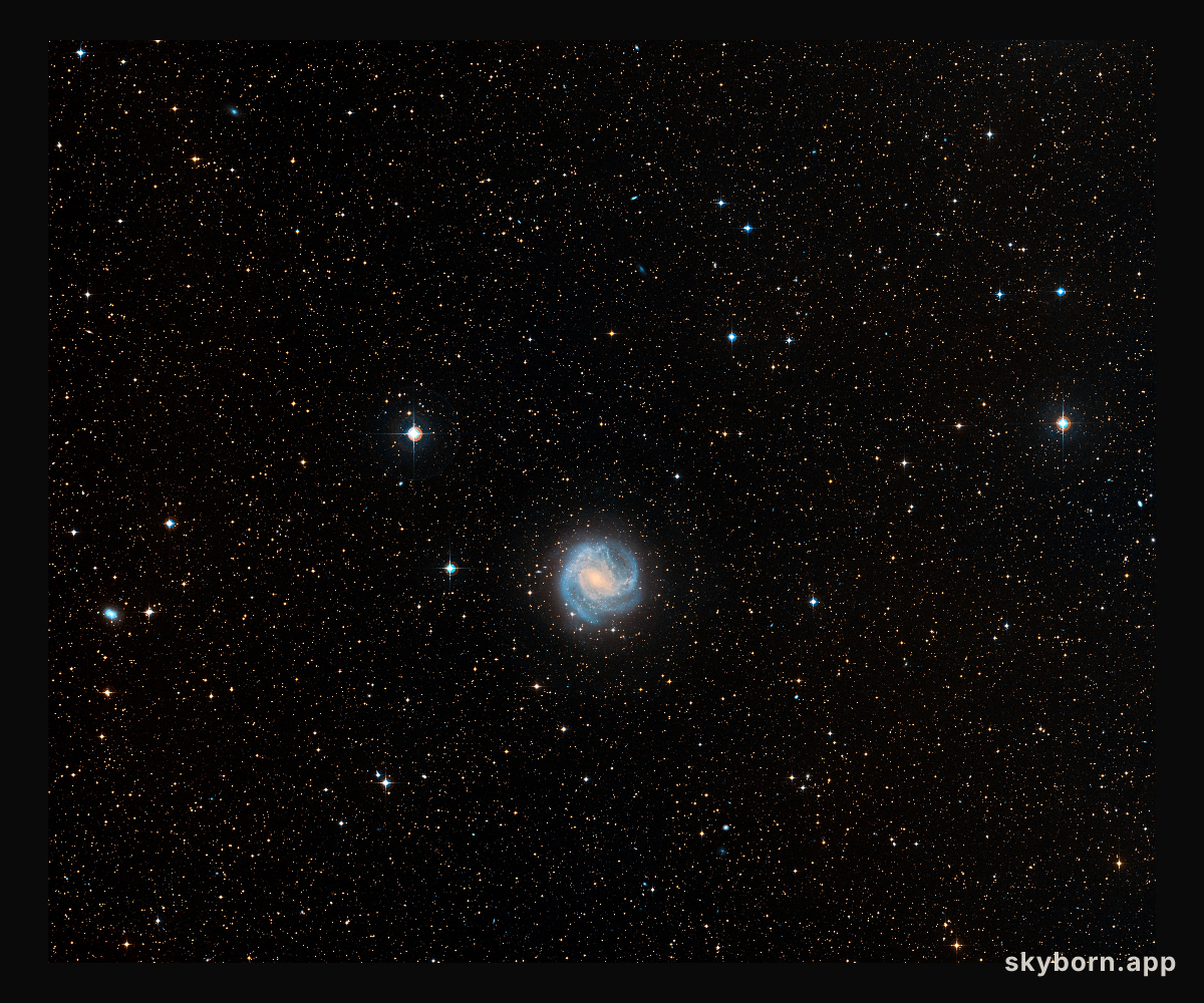 Digitized Sky Survey Image of Star Field Around M83 (ground-based image)