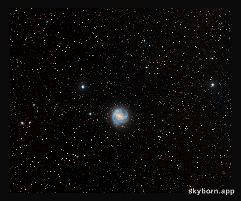Digitized Sky Survey Image of Star Field Around M83 (ground-based image)
