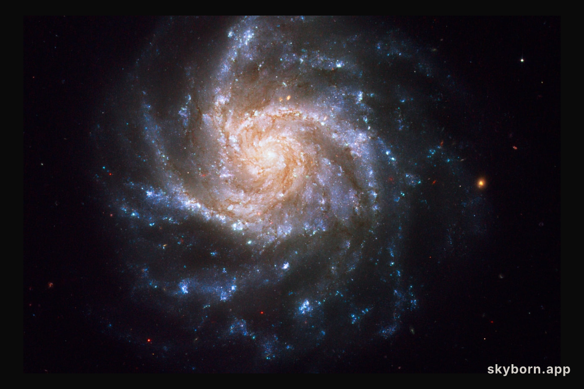 Spiral galaxy NGC 1376