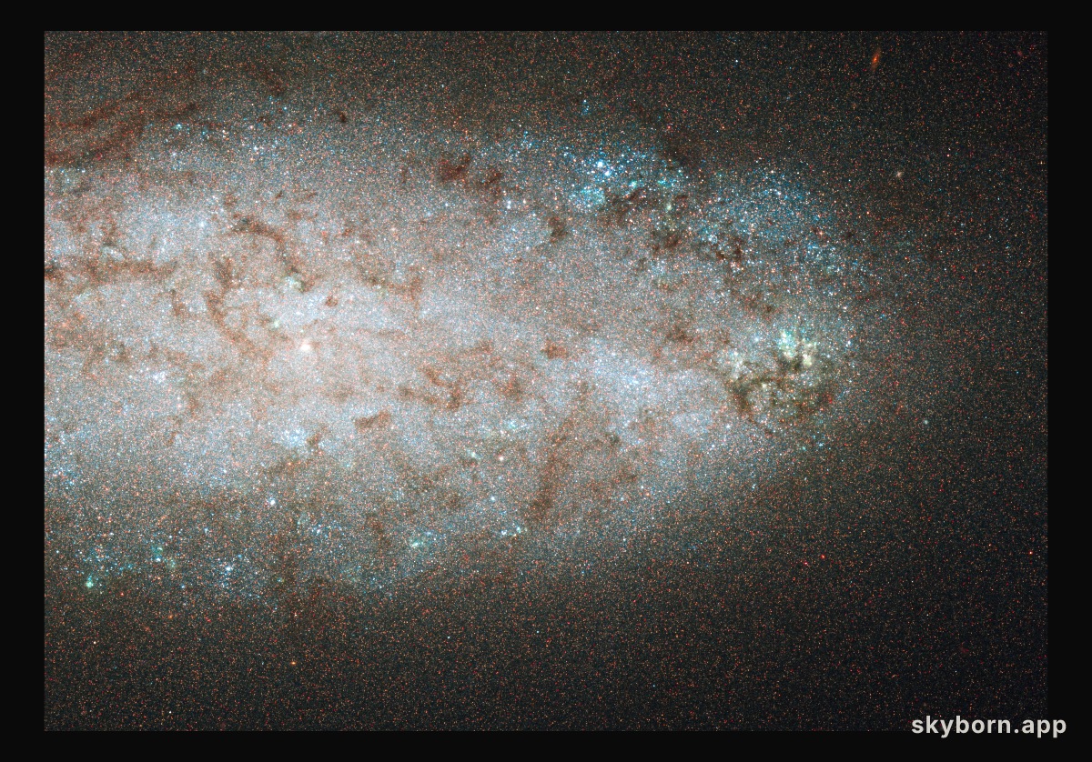 Star-birth party almost over in NGC 2976