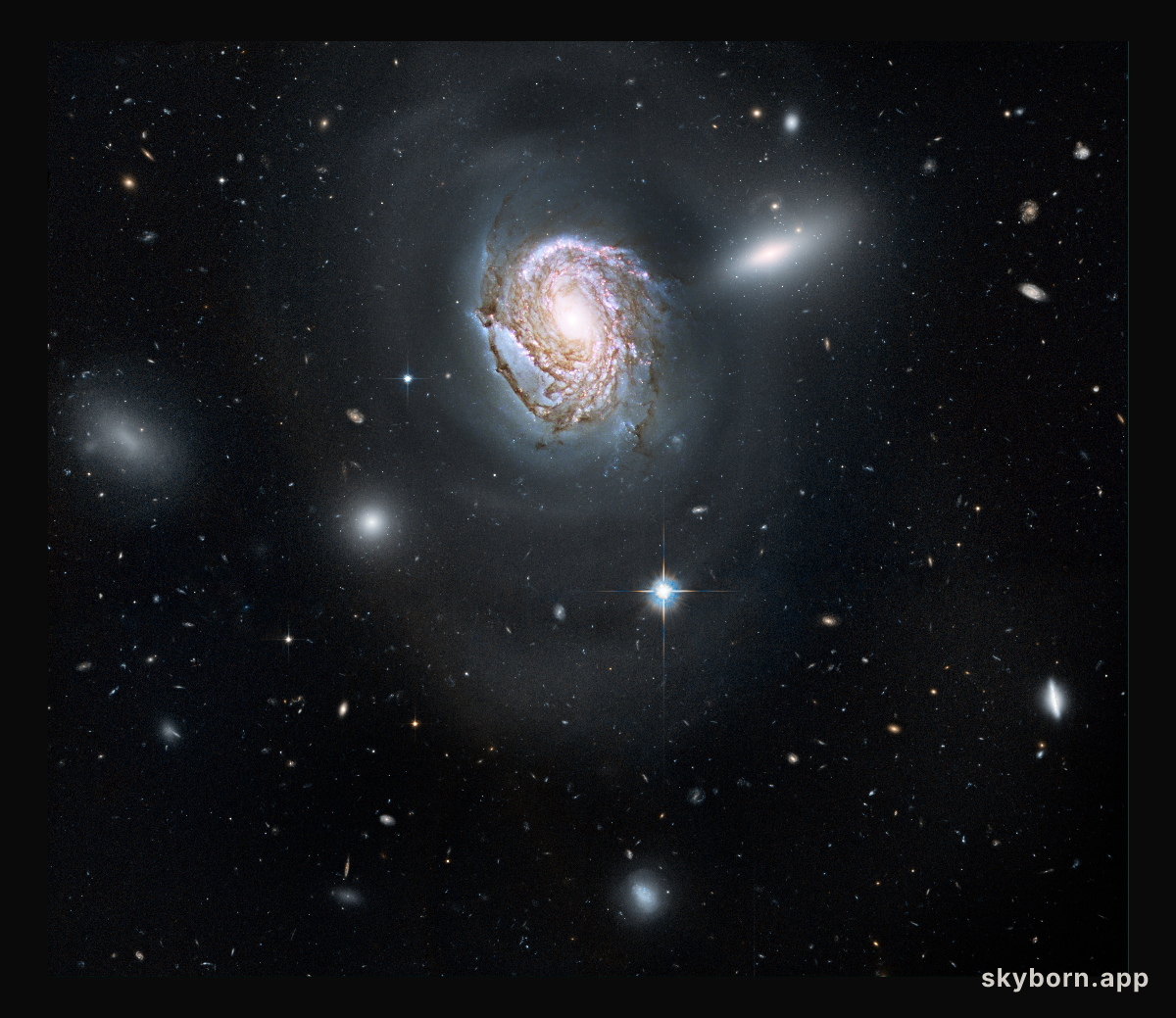 Spiral galaxy NGC 4911 in the Coma cluster