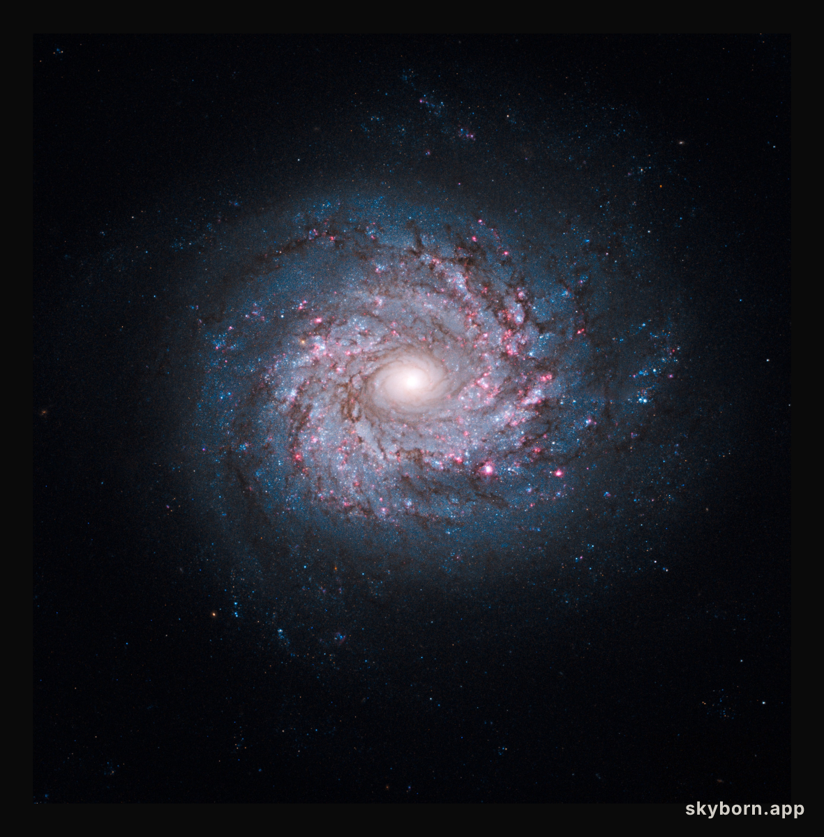 Face-on spiral galaxy NGC 3982