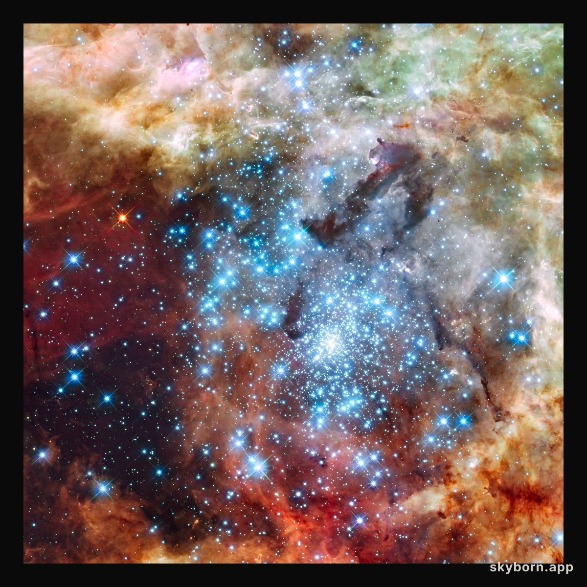 Merging clusters in 30 Doradus