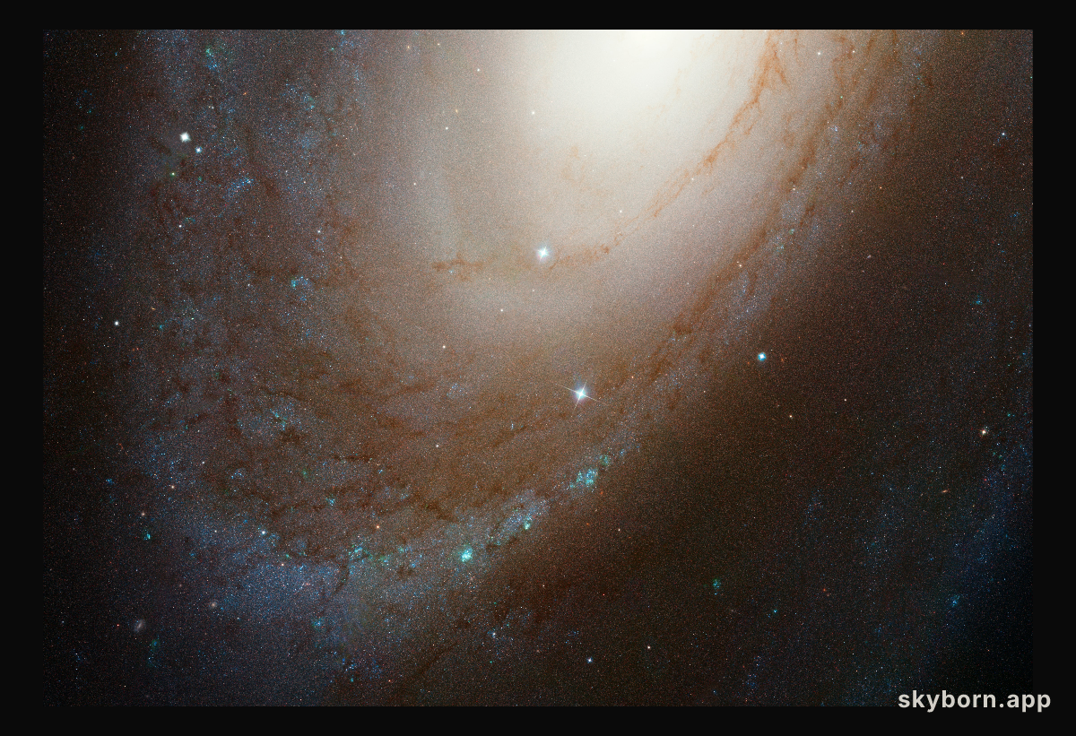Spiral galaxy M81