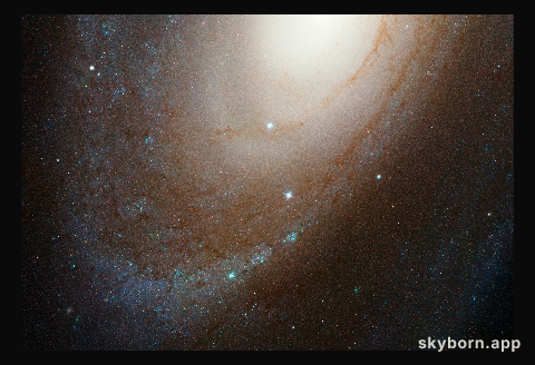 Spiral galaxy M81