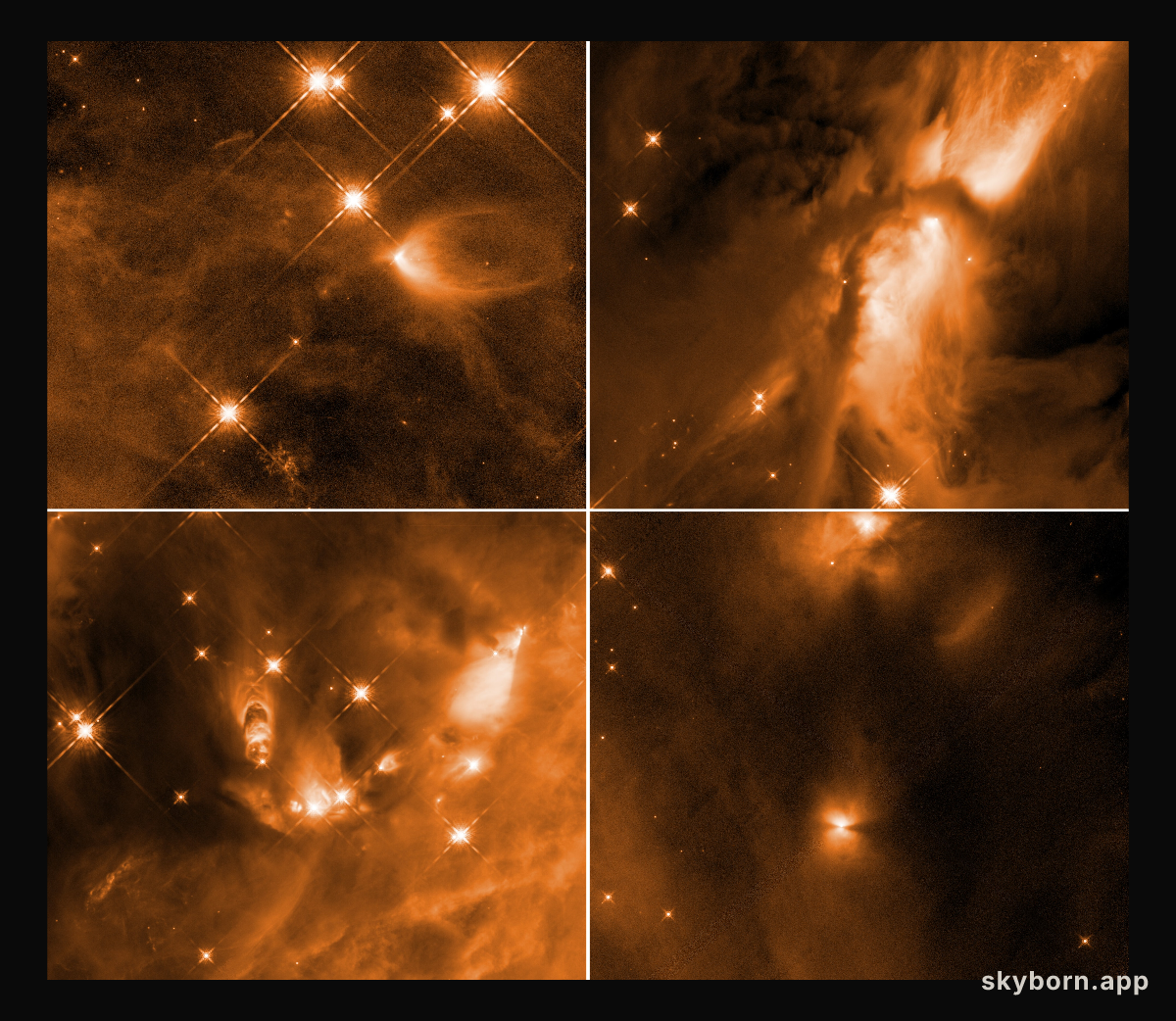 Infant Stars in Orion
