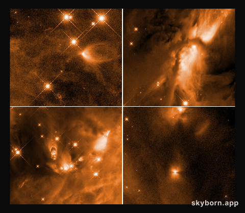 Infant Stars in Orion