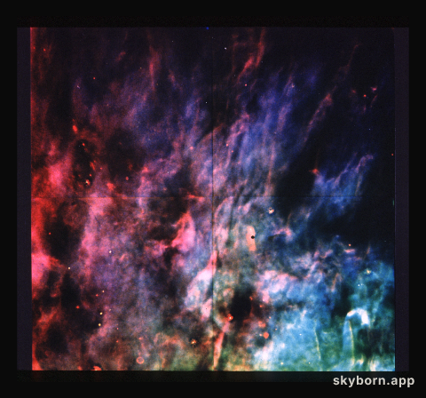 Window-curtain structure of the Orion Nebula revealed