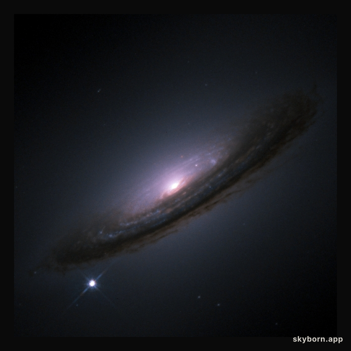 Supernova 1994D