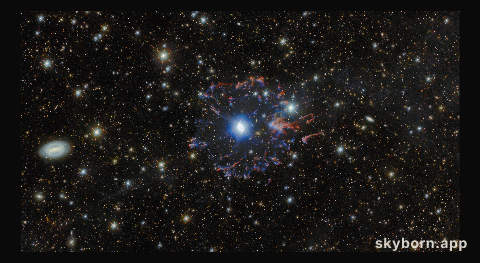 Euclid and Hubble's view of Cat's Eye Nebula