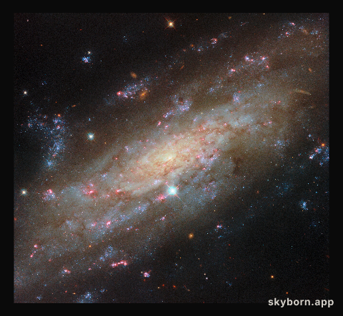 Starry spiral in a familiar neighbourhood