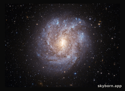 The dusty beauty of NGC 2082