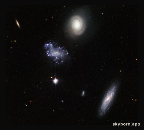 A clump of galaxy misfits