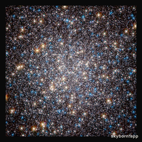 The crowded heart of the Hercules globular cluster